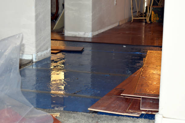 Professional Emergency Water Damage Restoration technician working in Palomar Mountain, CA